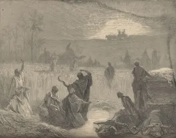 The Return of the Ark